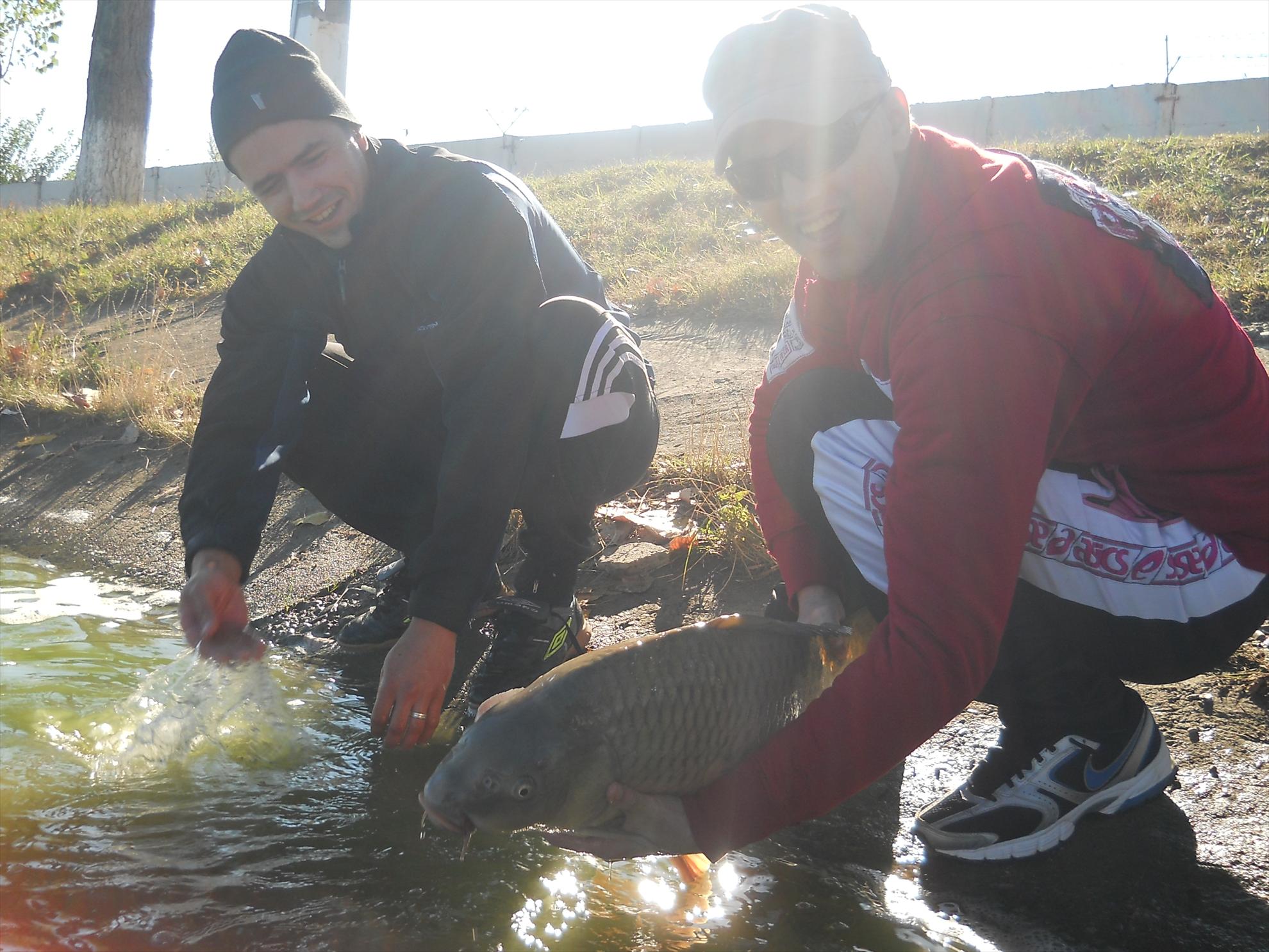 Pleasa 2012 - dscn1071.JPG